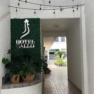 ** Hotel Gallo Mexique